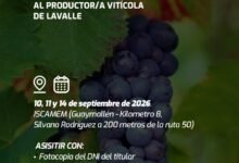 Mendoza: Operativo Contra la Polilla En La Vid