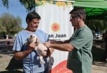 San Juan: El quirófano móvil acercará esterilizaciones a familias de Rivadavia