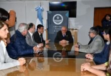 San Juan: relevará y protegerá sus árboles de valor patrimonial