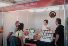 Fiesta Nacional del Sol: Emprendedores, artesanos, cooperativas, ONG e instituciones podrán postularse para la FNS