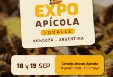 Mendoza: Lavalle será sede de la 29º edición de la Expo Apícola 2026