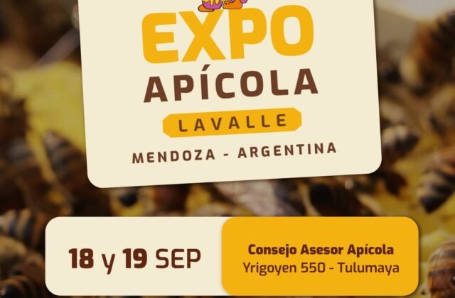 Mendoza: Lavalle será sede de la 29º edición de la Expo Apícola 2026